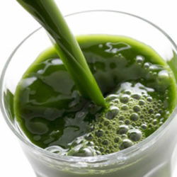 野菜の青汁